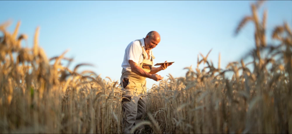 Comptabilité pour exploitant agricole {{localite_seo}} 