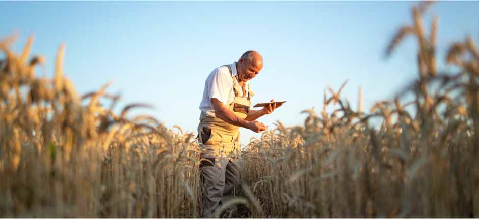 Comptabilité pour exploitant agricole à Béziers 